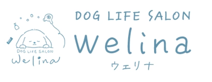 DOG LIFE SALON Welina